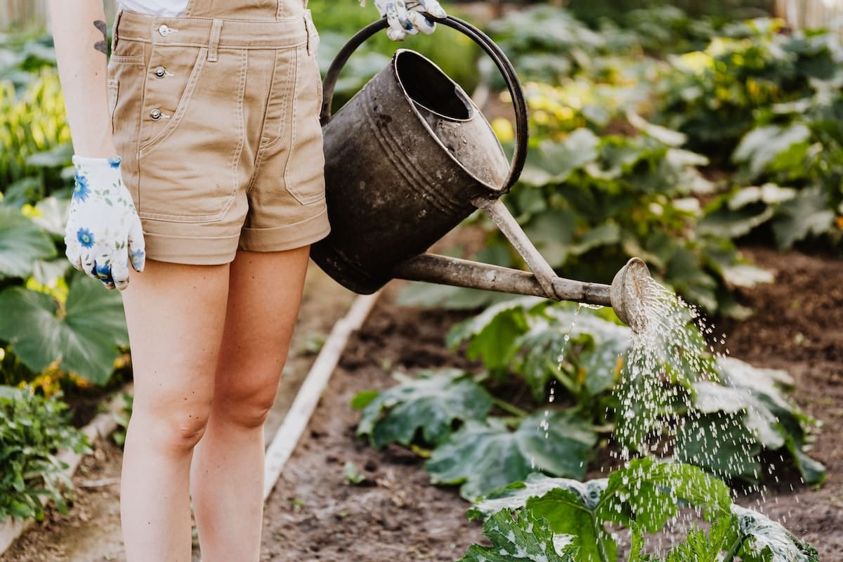 10 Astuces Infaillibles de Jardinage pour Résister à la Sécheresse