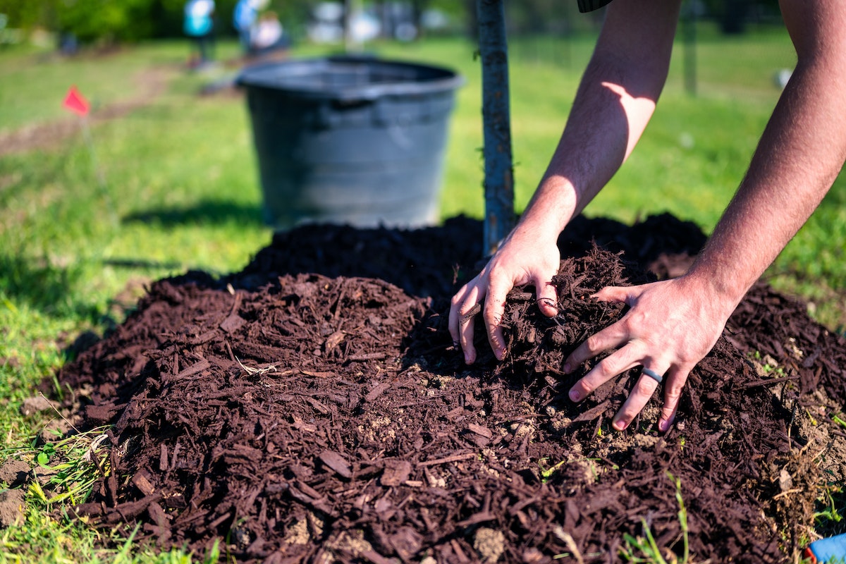Comment le paillage peut sauver votre jardin la sécheresse